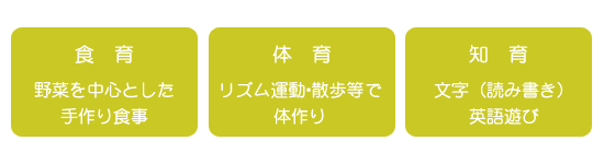 食事（野菜を中心とした手作り食事）・体育（リズム運動・散歩等で体作り）・知育（文字[読み書き]・英語遊び）